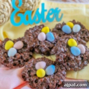 picture of chocolate cookies shaped like a birds nest with candy eggs on top