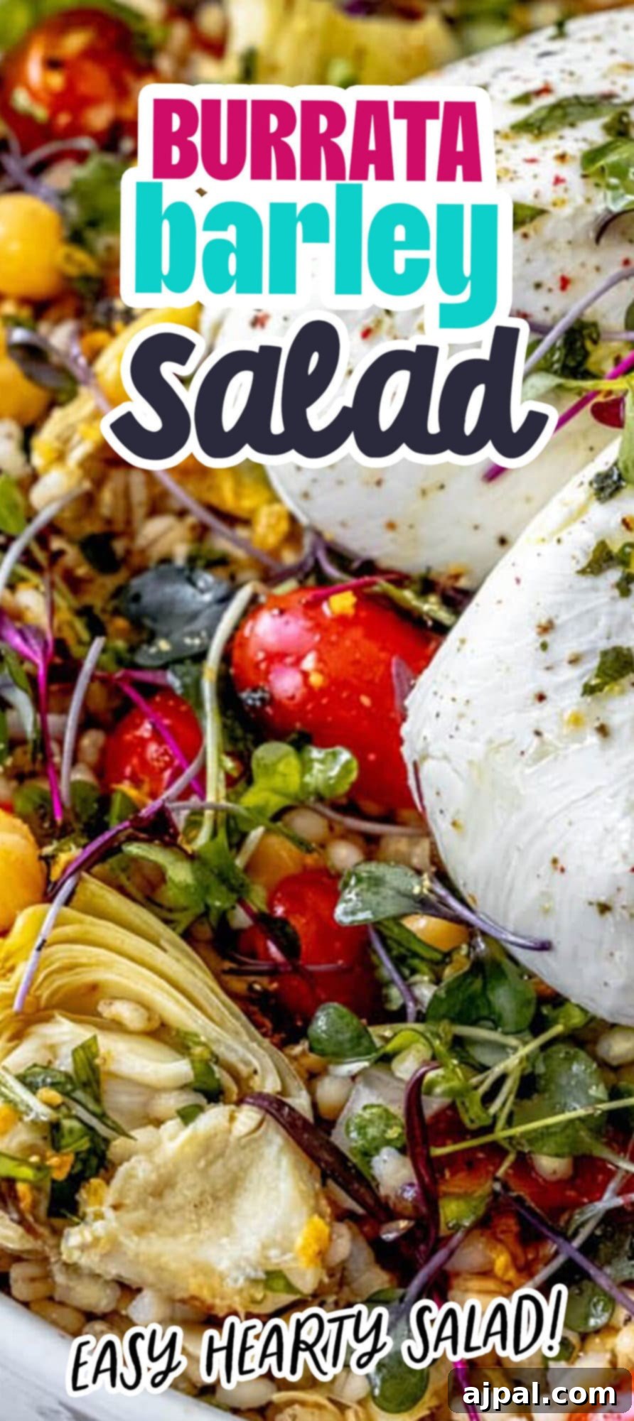 A stunning Mediterranean barley salad featuring creamy burrata, a harmonious blend of textures and flavors in a healthy, vibrant dish.