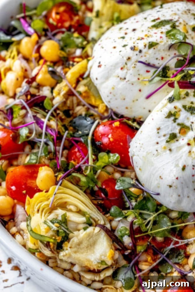 An inviting Burrata Barley Salad, featuring a generous scoop in a pristine white bowl, garnished with crisp microgreens, tender artichoke hearts, and bright, sun-ripened tomatoes.