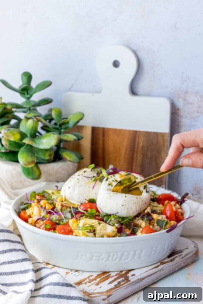 A beautifully composed Burrata Barley Salad presented in a pristine white bowl, garnished with delicate microgreens, savory artichoke hearts, and bright cherry tomatoes.