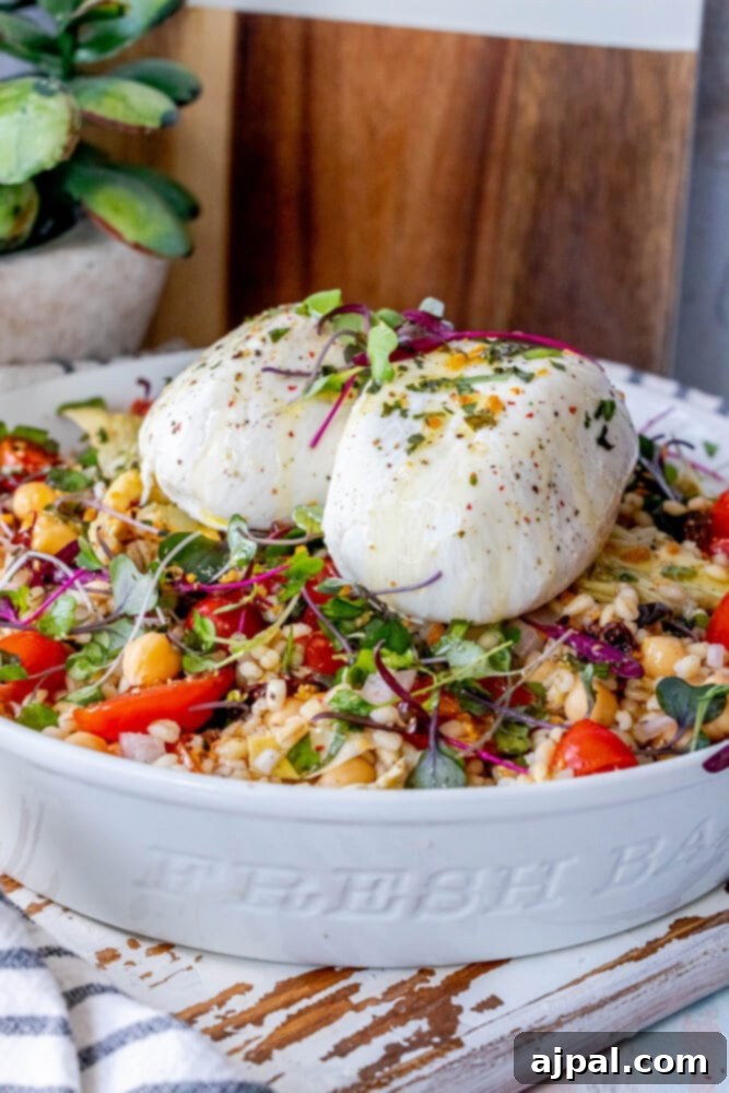 A pristine white bowl filled with Burrata Barley Salad, featuring a vibrant blend of microgreens, tender artichoke hearts, and juicy tomatoes, beautifully presented.