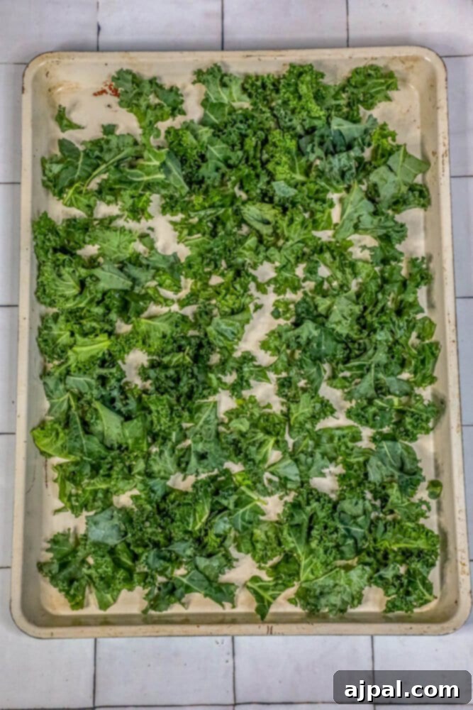 A baking sheet is neatly arranged with seasoned kale leaves, spaced out and ready to be baked into crispy chips.