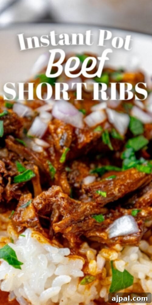 picture of short ribs shredded over rice and topped with cilantro and diced onion