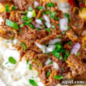 picture of shredded beef short rib over rice with onion on top