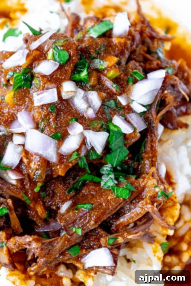 A plate of spicy Instant Pot beef short ribs on a white plate.