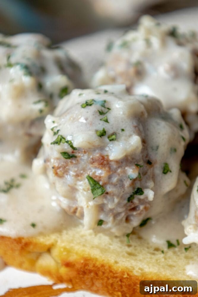 Easy Creamy Instant Pot Porcupine Meatballs 12 picture of creamy porcupine meatballs on a slice of sourdough bread
