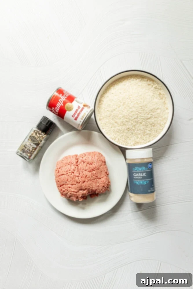 Easy Creamy Instant Pot Porcupine Meatballs 5 picture of pepper, a can of cream of mushroom soup, rice, meat, and garlic powder on a table