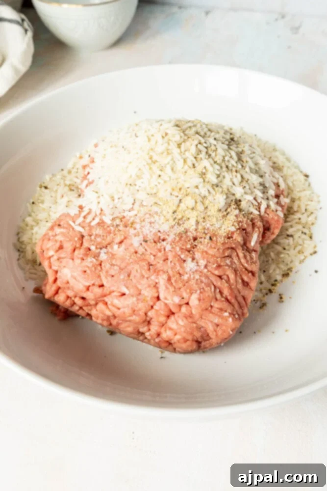 Easy Creamy Instant Pot Porcupine Meatballs 6 picture of ground beef, rice, garlic powder in a bowl