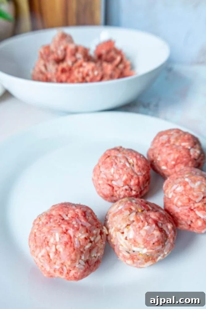 Easy Creamy Instant Pot Porcupine Meatballs 7 picture of rolled porcupine meatballs