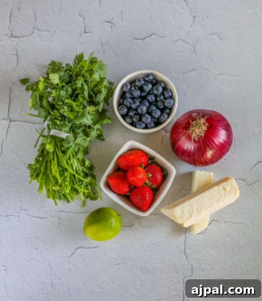 Red White Blue Fruit Salsa 5 Fresh ingredients laid out on a table including cilantro, blueberries, strawberries, jicama, lime, and red onion.