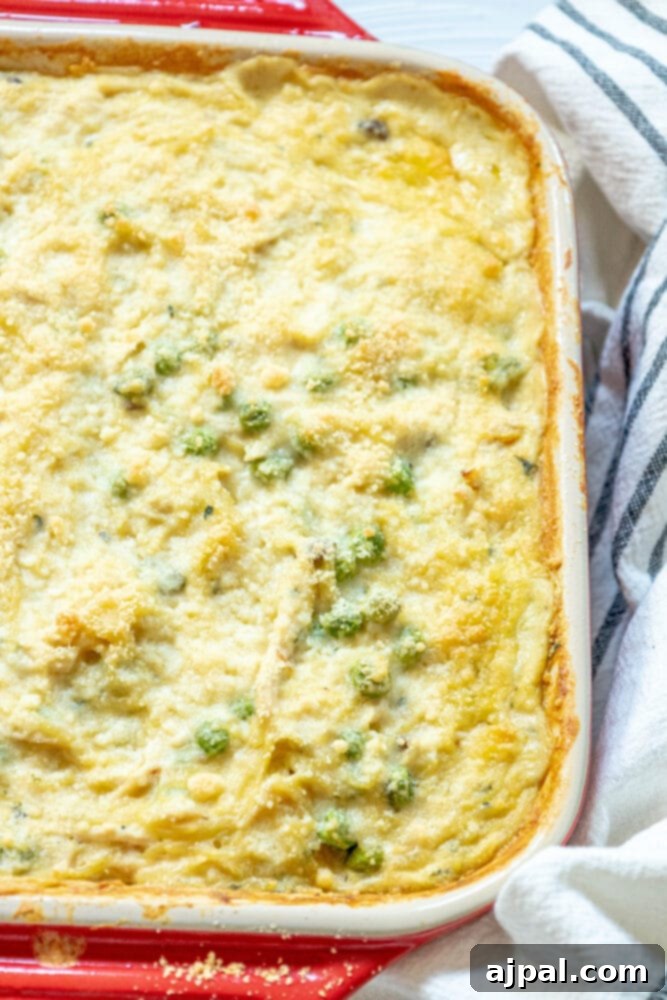 A large, rustic red casserole dish filled to the brim with creamy chicken tetrazzini, showing golden-baked noodles and scattered peas.