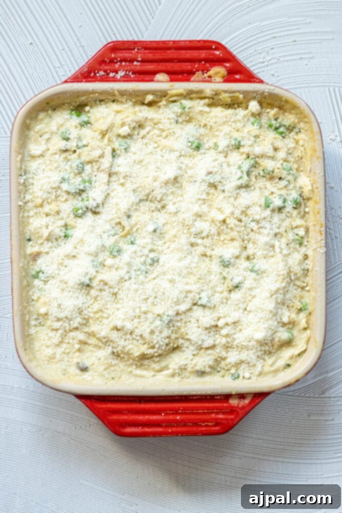 No-Fuss Chicken Tetrazzini 8 Grated Parmesan cheese being sprinkled generously over a chicken tetrazzini casserole in a dish, prior to baking.