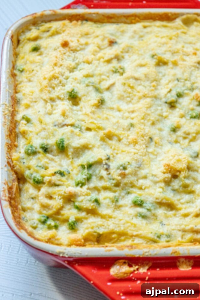 A vibrant red casserole dish filled with baked chicken tetrazzini, showing off the golden-brown cheese crust and tender peas, still bubbling hot from the oven.
