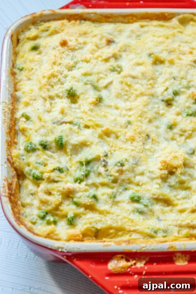 No-Fuss Chicken Tetrazzini 9 A baked chicken tetrazzini noodle casserole with peas and melted cheese in a red dish, fresh out of the oven.
