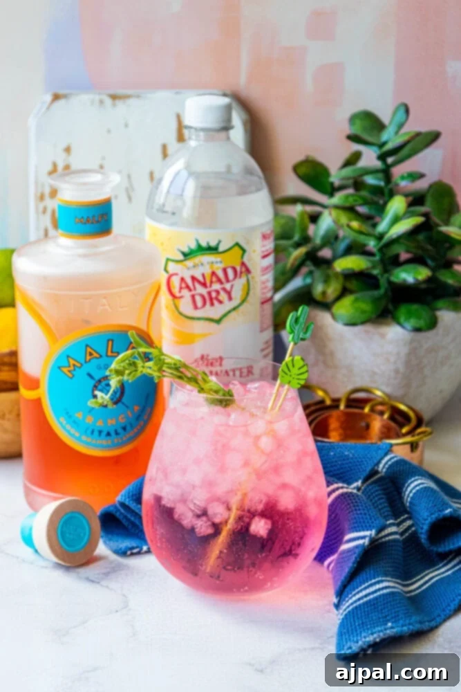 Sunset Sip Blood Orange Gin Tonic 10 Pink Blood Orange Gin and Tonic drink is sitting on a table.