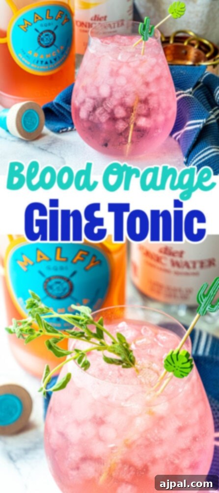 Sunset Sip Blood Orange Gin Tonic 12 Blood orange gin and tonic cocktail made with Malfy Arancia gin.