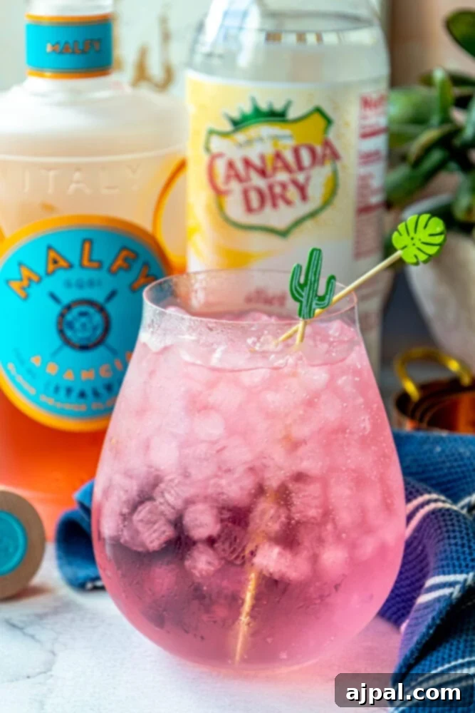Sunset Sip Blood Orange Gin Tonic 4 Refreshing pink drink with ice and a sprig of thyme, made with Blood Orange Gin and Tonic.