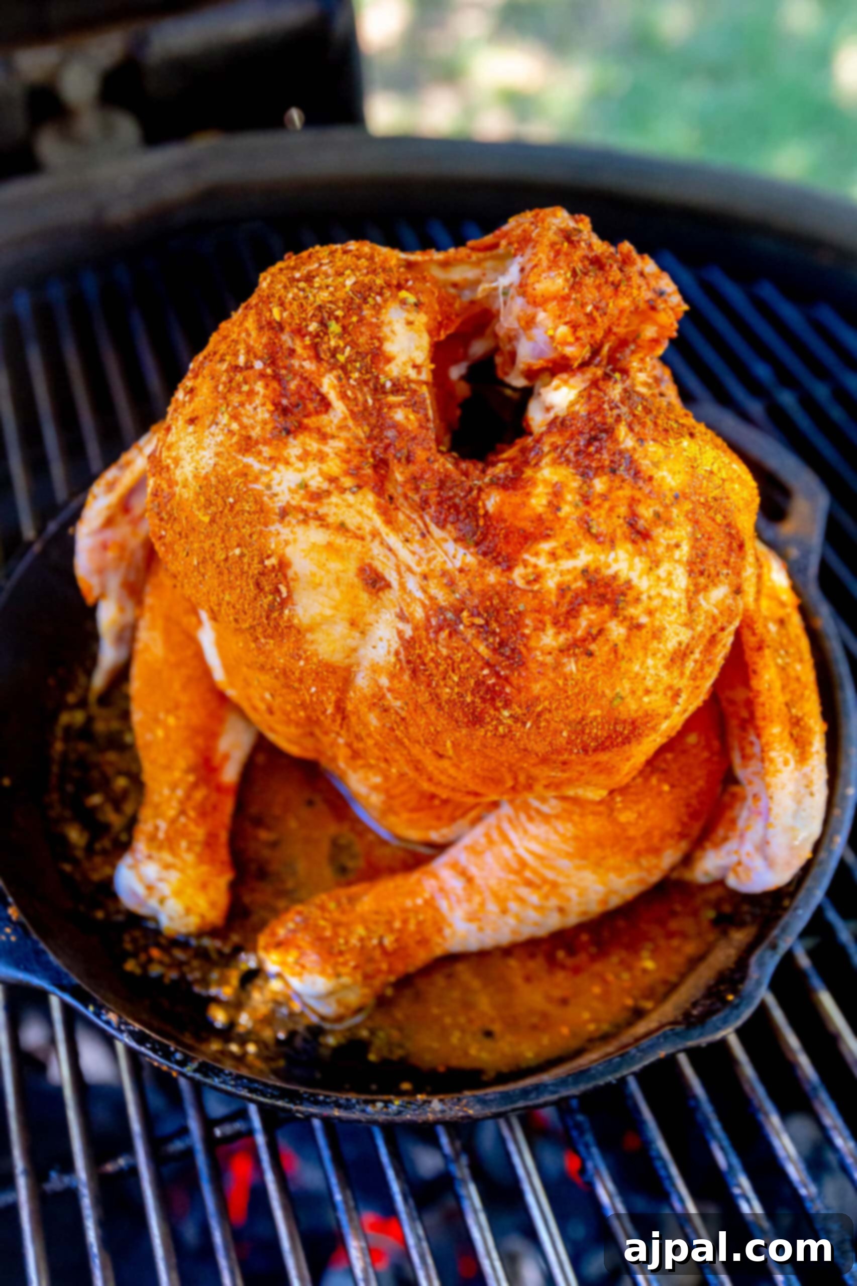 raw seasoned beer can chicken in a cast iron pan on a grill