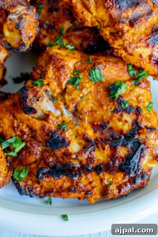 Grilled chicken skewers on a white plate with tandoori seasoning, ready to serve.