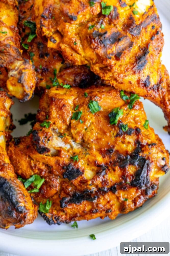 Close-up of grilled tandoori chicken skewers on a white plate, showcasing the char and marinade.