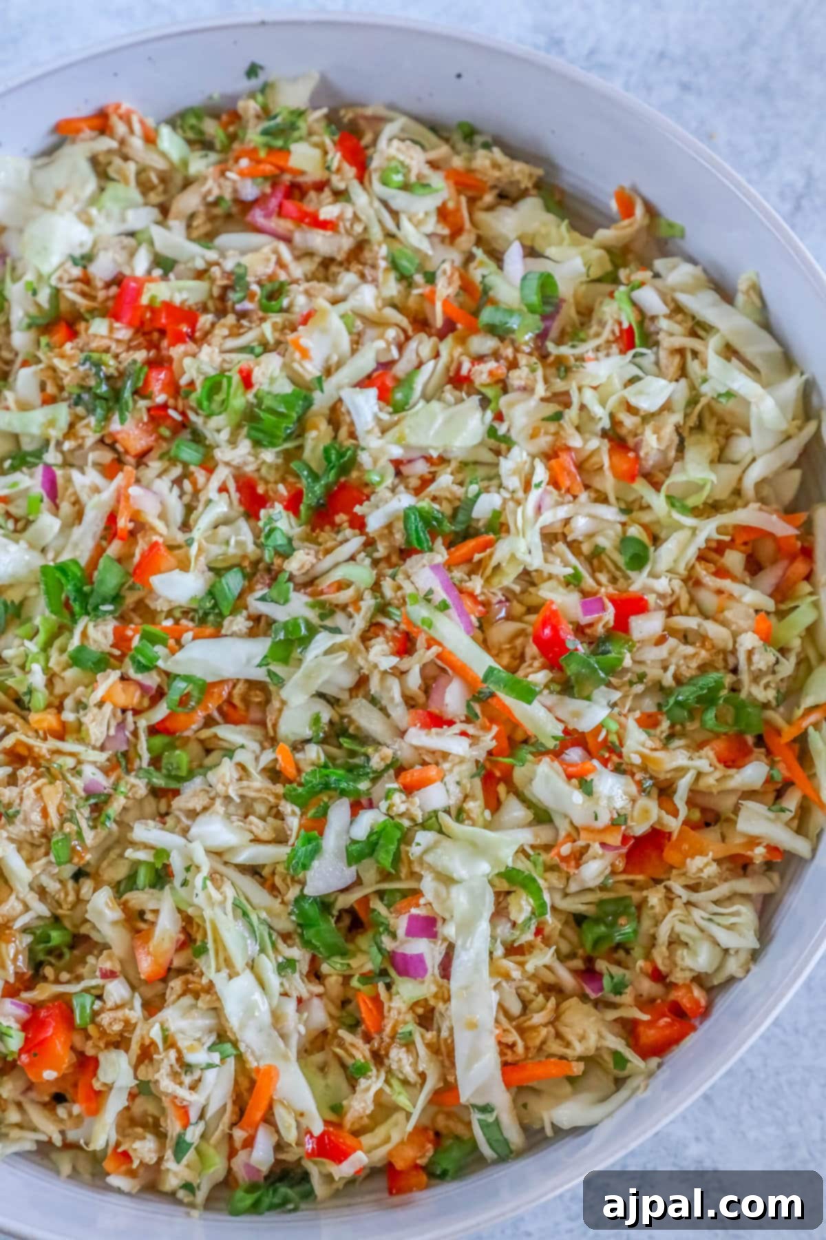 A beautifully presented Thai chicken salad in a white bowl, ready for serving.