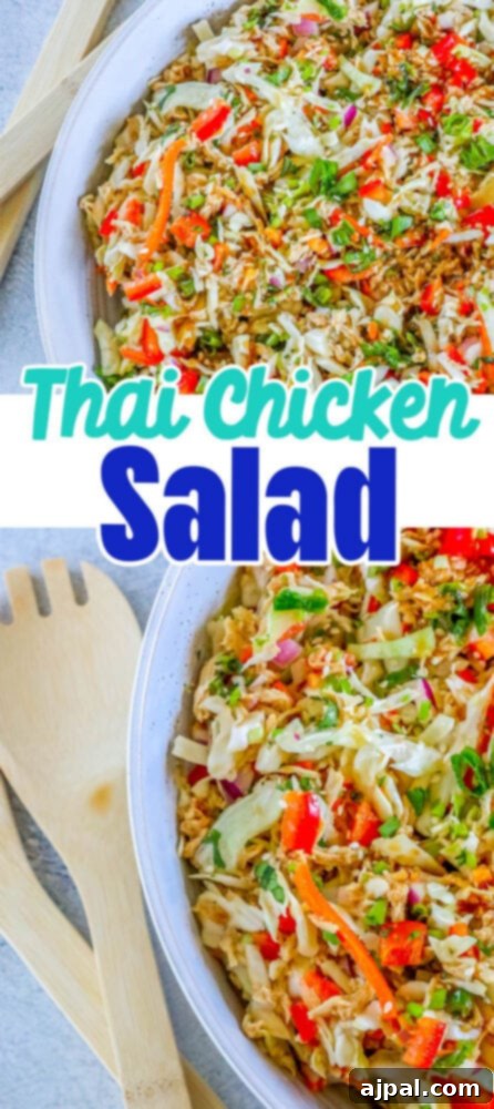 A vibrant bowl of Thai chicken salad, showcasing the fresh, colorful ingredients.