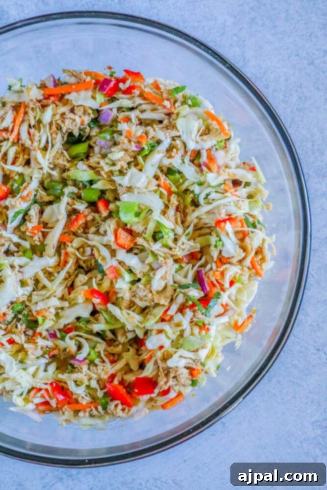 A vibrant bowl of tossed Thai chicken salad ready to serve.