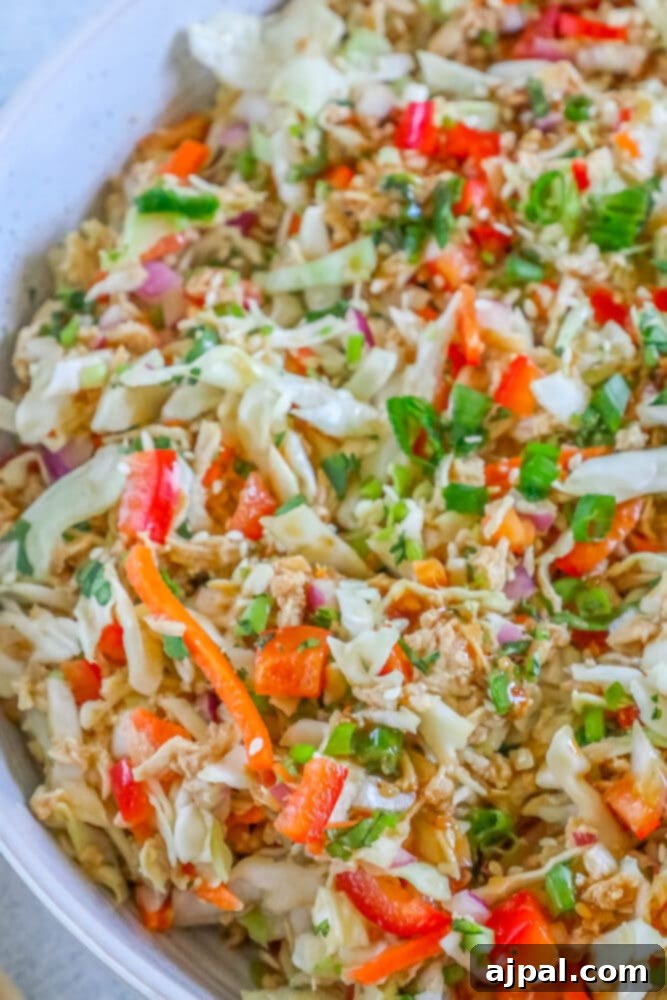 A close-up of the fully mixed Thai chicken salad in a white bowl, ready to be served.