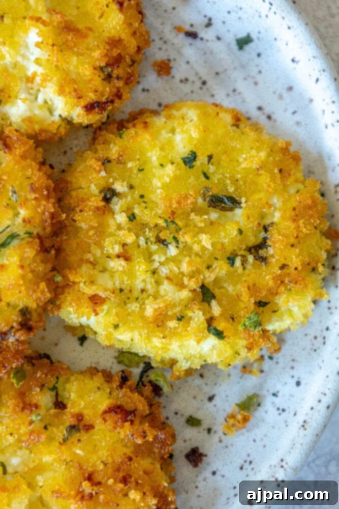 Warm Goat Cheese Bites 14 golden baked breaded goat cheese balls topped with herbs on a white speckled plate