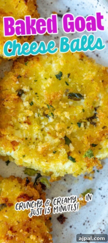 Warm Goat Cheese Bites 15 golden baked breaded goat cheese balls topped with herbs on a white speckled plate