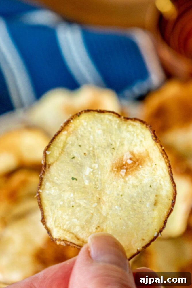 Crispy Air-Fried Potato Slices 10 A generous serving of crispy air-fried potato chips, seasoned and ready for dipping, accompanied by a small bowl of dip.