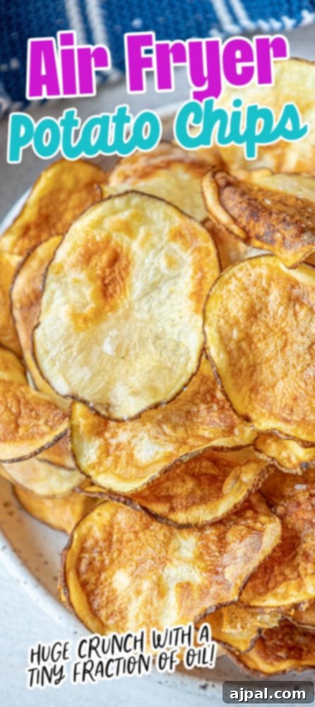 Crispy Air-Fried Potato Slices 11 A tall, slender stack of golden air-fried potato chips, perfectly crispy and seasoned, presented artfully on a plate.