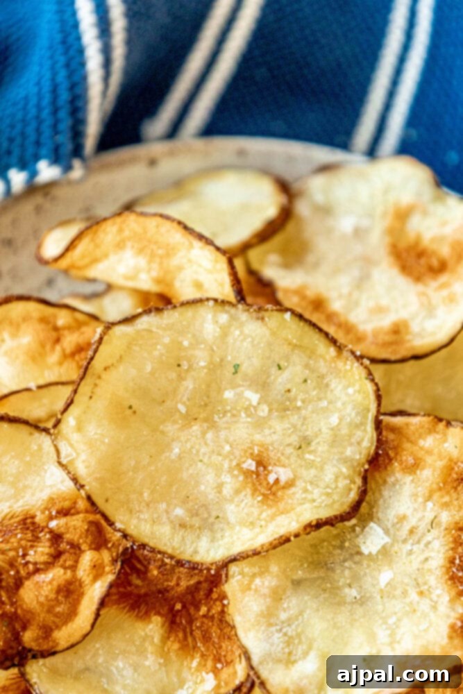 Crispy Air-Fried Potato Slices 4 A plate of golden, crispy air-fried potato chips seasoned with garlic salt, accompanied by a small bowl of dip and fresh parsley garnish.