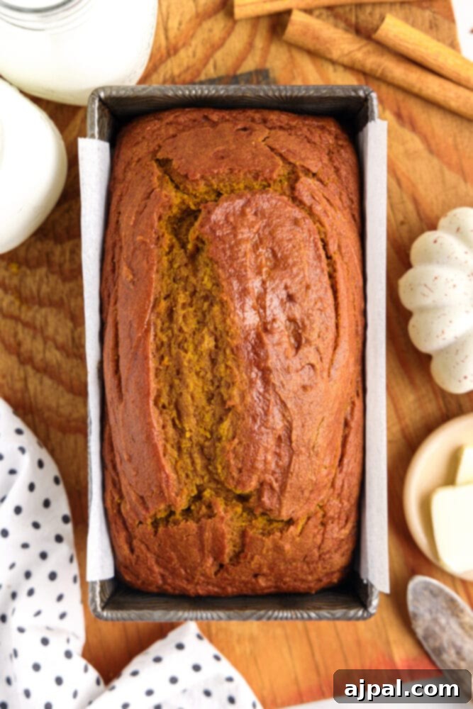 Moist Spiced Pumpkin Loaf 12 picture of pumpkin bread
