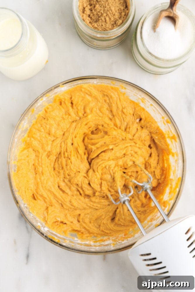 Moist Spiced Pumpkin Loaf 10 picture of pumpkin bread batter being mixed in a bowl