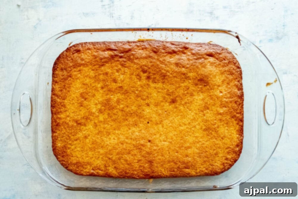Caramelized Pineapple Bliss 9 picture of cake baked in cake pan