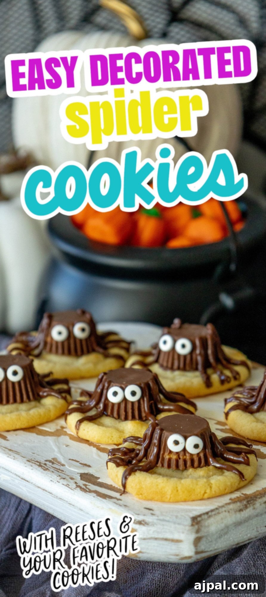 Spooky Spider Cookies 11 Close-up of a charmingly simple decorated spider cookie, perfect for Halloween fun.