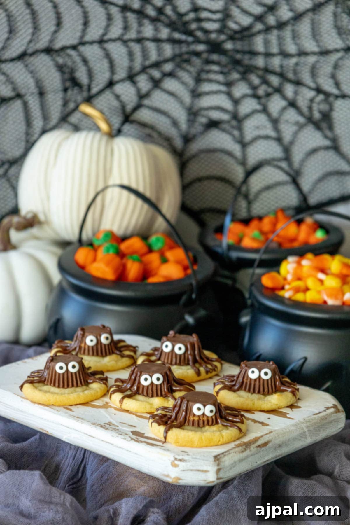 Spooky Spider Cookies 9 A festive plate of Halloween spider cookies surrounded by candy corn and mini pumpkins, setting a cheerful holiday mood.