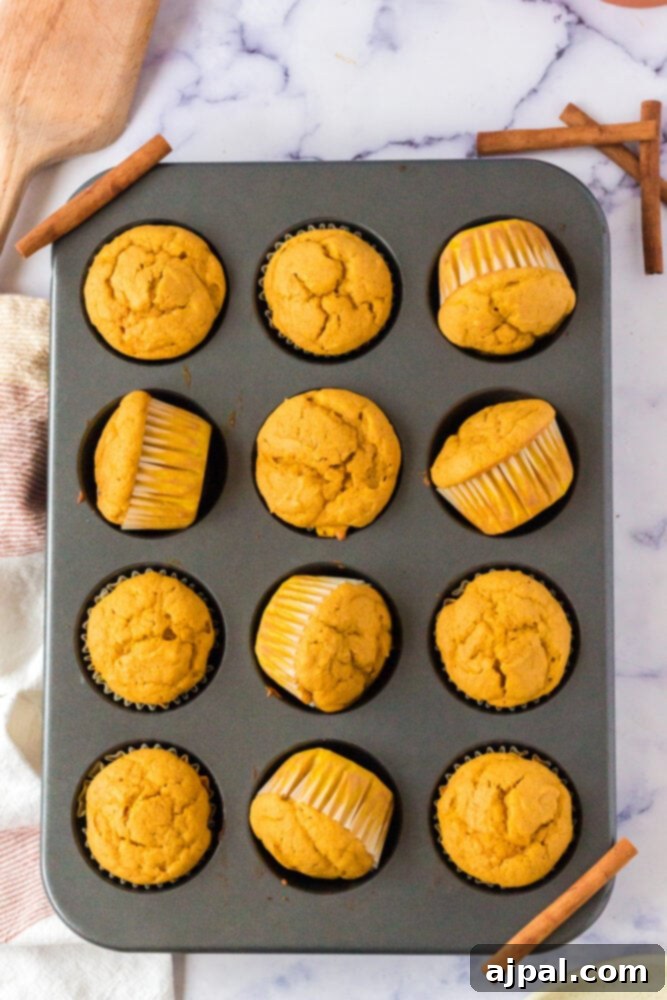 picture of baked pumpkin muffins in a cupcake tin
