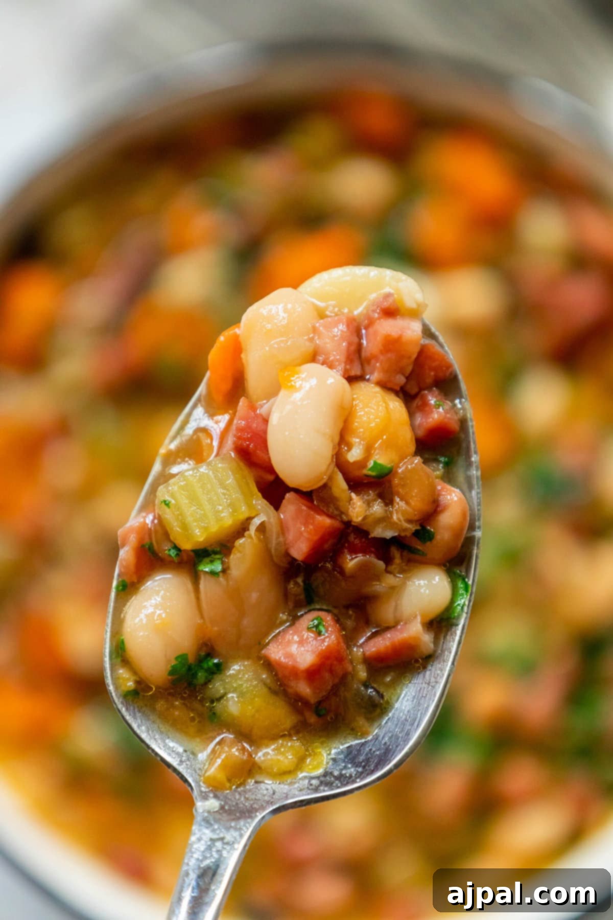 Smoked Ham and Bean Stew 2 picture of bean and ham soup on a spoon
