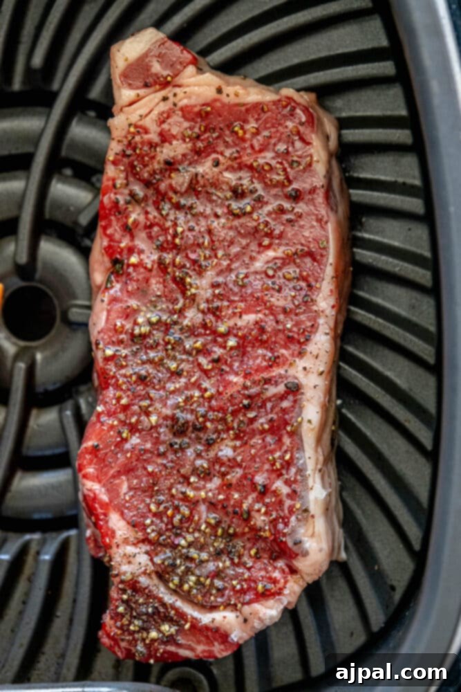 picture of a seasoned steak on a ninja indoor grill 