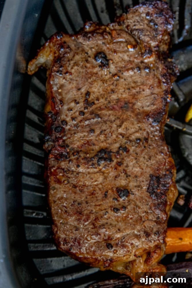 picture of a grilled steak on a ninja indoor grill