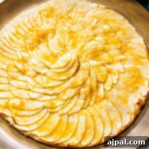 picture of a baked apple tart with thinly sliced apples baked in a circle and glazed with apricot glaze on a gold plate