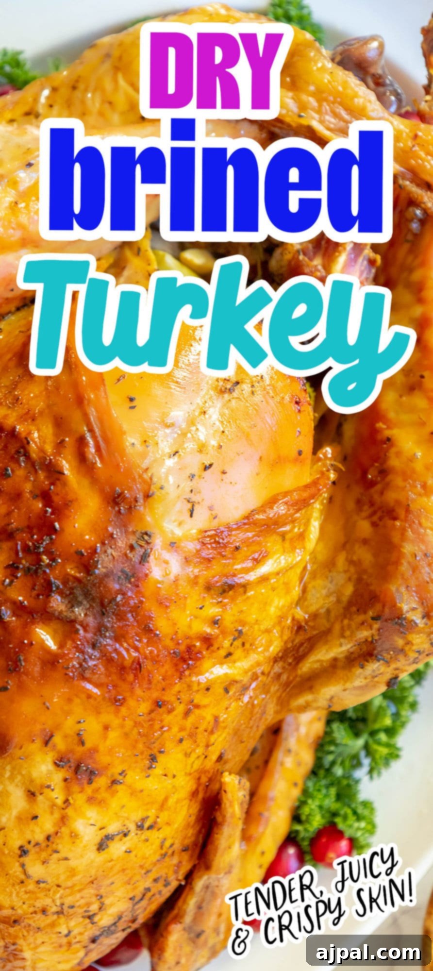 picture of a roasted turkey on a plate with kale and cranberries