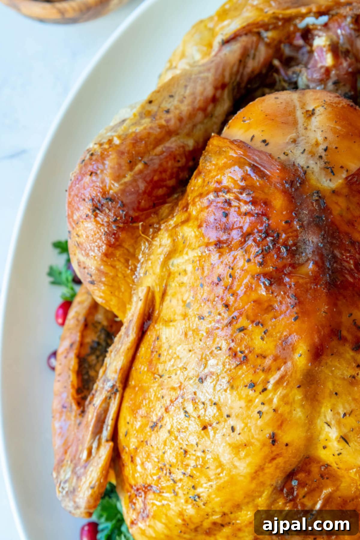 A roasted turkey with cranberries on a white plate.