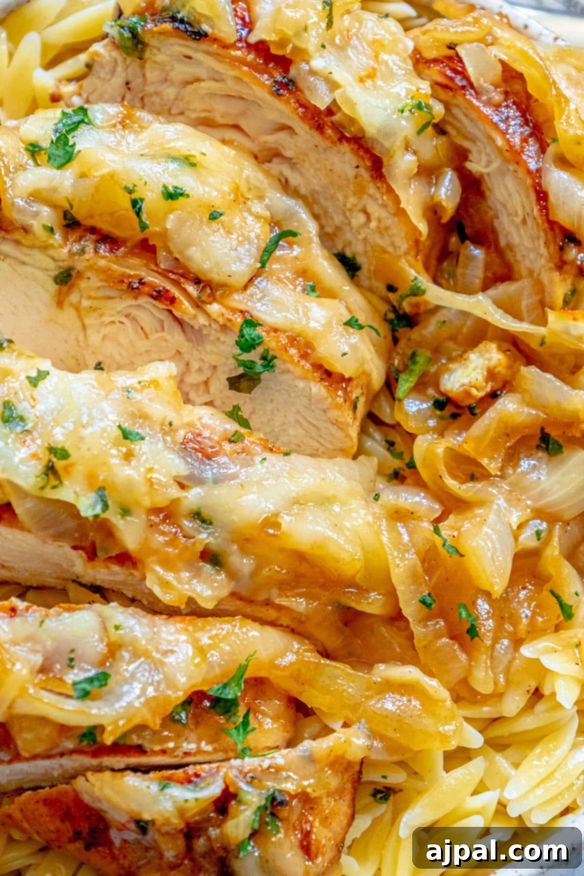 Classic French Onion Chicken Breasts 9 picture of chicken breast with melted cheese and browned french onions