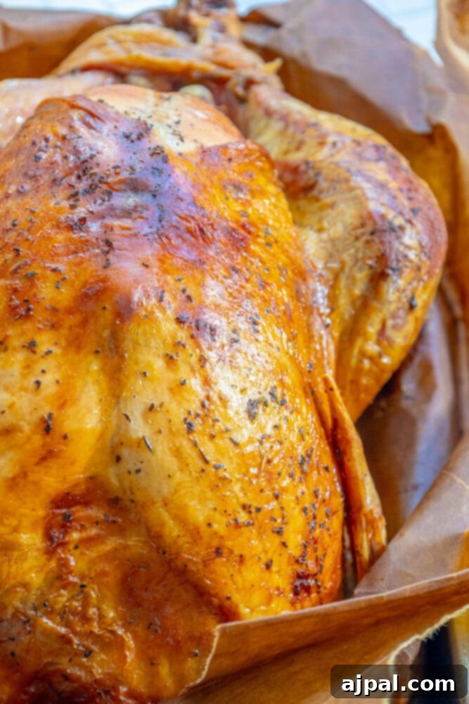 A perfectly roasted whole turkey in a pan, glistening and ready for the Thanksgiving feast.