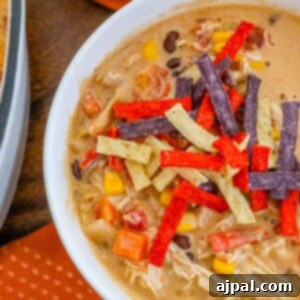 creamy chicken soup with beans, corn, rotel, and tortilla strips in a white bowl