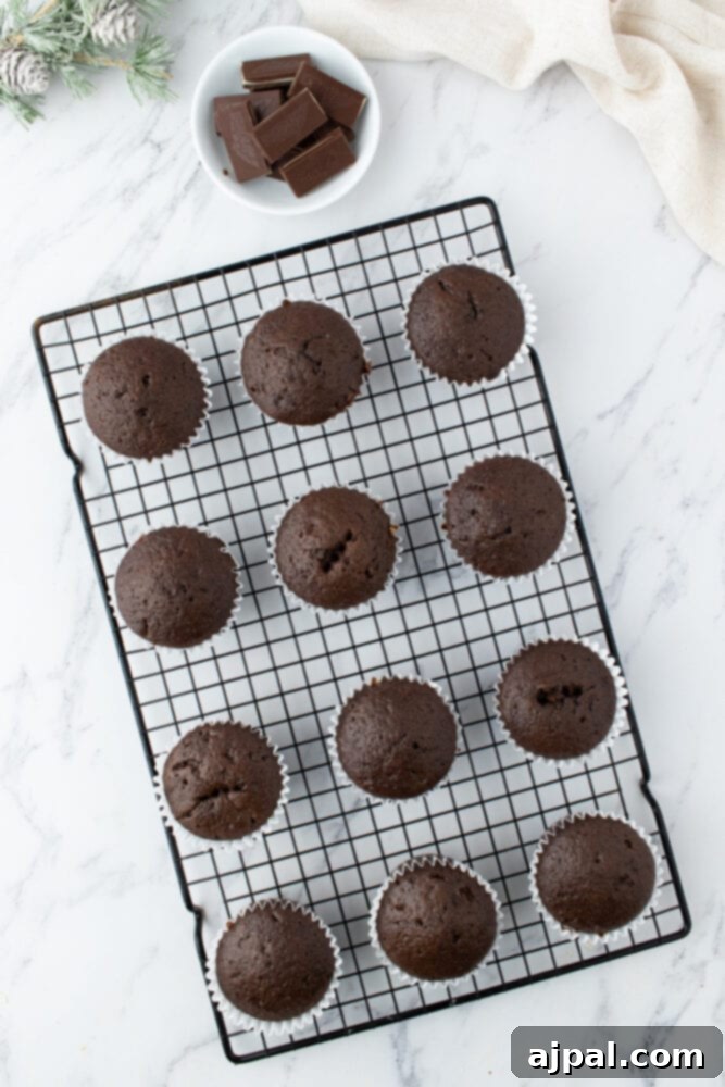 Freshly baked mint chocolate cupcakes cooling on a wire rack, their delicious aroma filling the air.
