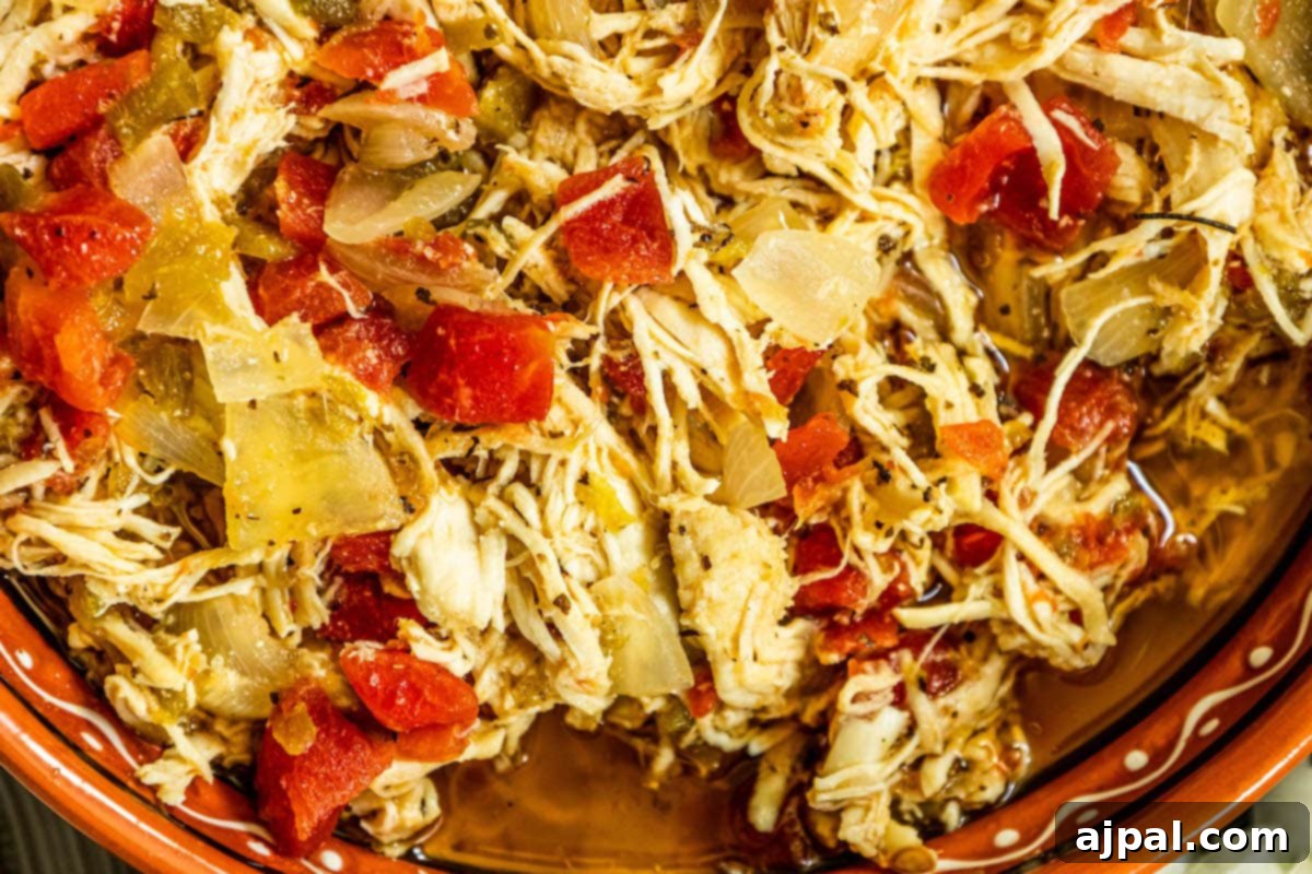 A richly flavored Mexican shredded chicken enchilada, elegantly presented in a rustic red bowl, showcasing the versatility of shredded chicken in various traditional dishes.